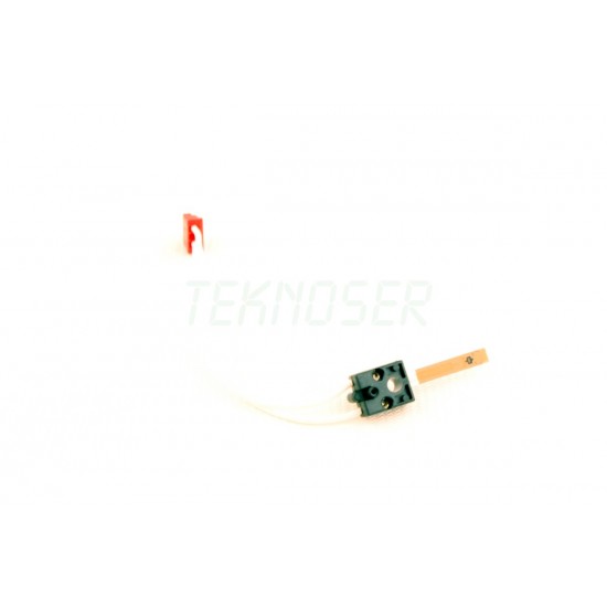 Ricoh AW100112 Thermistor Side