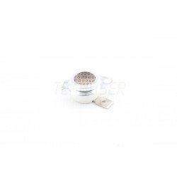 Ricoh AW110013 Thermostat