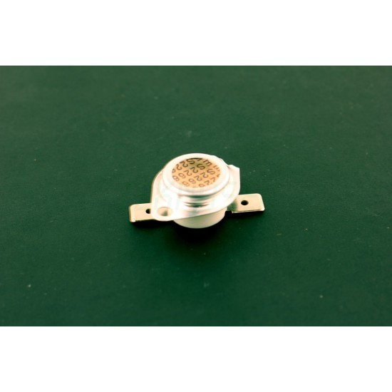 Ricoh AW110013 Thermostat