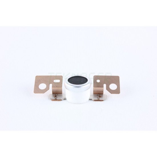 Ricoh B0394120 Thermostat