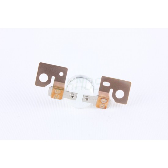 Ricoh B0394120 Thermostat