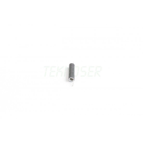 Ricoh B0395504 Thermofuse