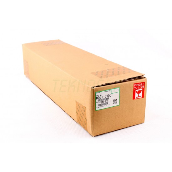 Ricoh B0516300 Belt Cleaning Assembly