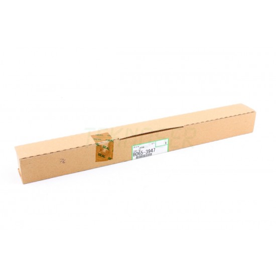 Ricoh B0653947 Antistatic Plate Ricoh B0653947 Antistatic Plate