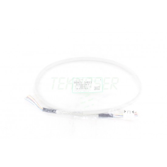 Ricoh B0655403 12P Cable