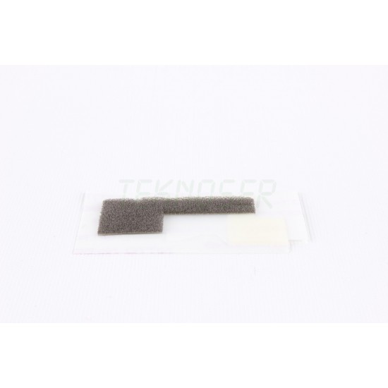 Ricoh B1103099 Front Drum Seal