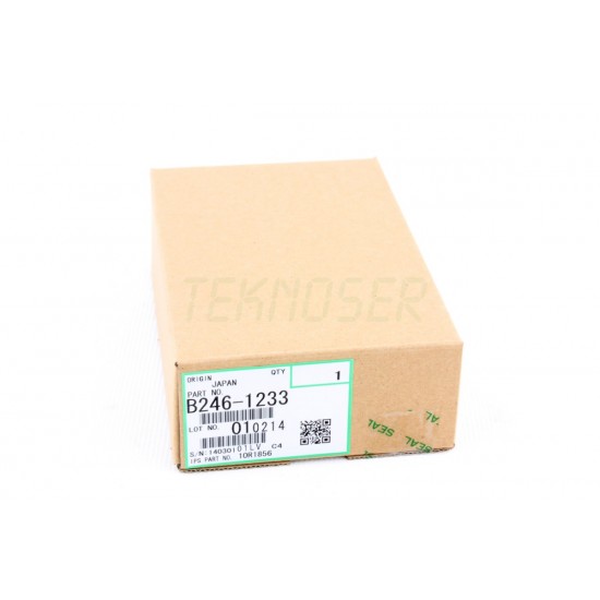 Ricoh B2461233 Front Ozone Filter Ricoh B2461233 Front Ozone Filter