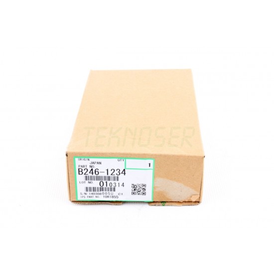 Ricoh B2461234 Rear Ozone Filter