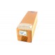 Ricoh D1796050 Transfer Belt