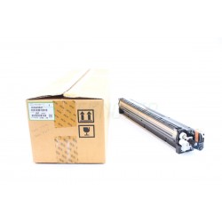 Ricoh D2443021 Orijinal Mavi Developer Unit MP C2004-2504