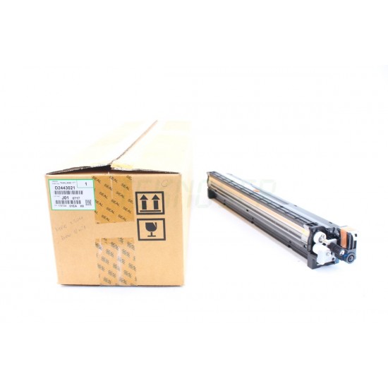 Ricoh D2443021 Orijinal Mavi Developer Unit MP C2004-2504