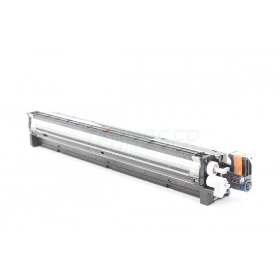 Ricoh D2443021 Orijinal Mavi Developer Unit MP C2004-2504