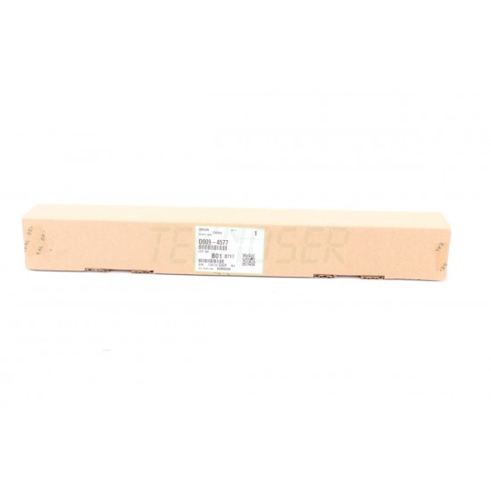 Ricoh D0094577 Duplex Gate