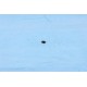 Ricoh A2322339 Spur Wheel