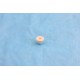 Ricoh B0654235 Fuser Web Idle Gear
