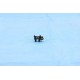 Ricoh AW020120 Photointerrupter