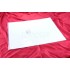 Ricoh 54482804 Platen Sheet