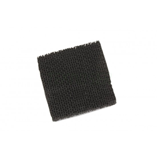 Ricoh AA010089 Rear Ozone Filter