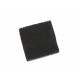 Ricoh AA010089 Rear Ozone Filter