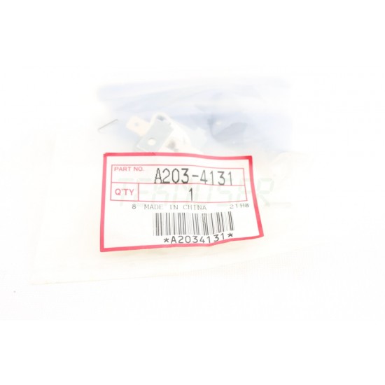 Ricoh A2034131 Thermostat 170