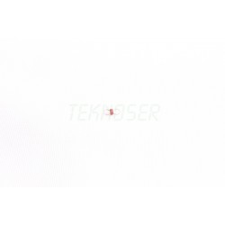 Ricoh AA060948 Fuser Tension Spring