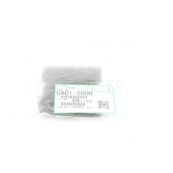 Ricoh GA012000 Upper Filter