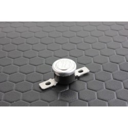 Ricoh H5155017 Thermostat