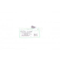 Ricoh G0702168 Charge Corona Cleaner